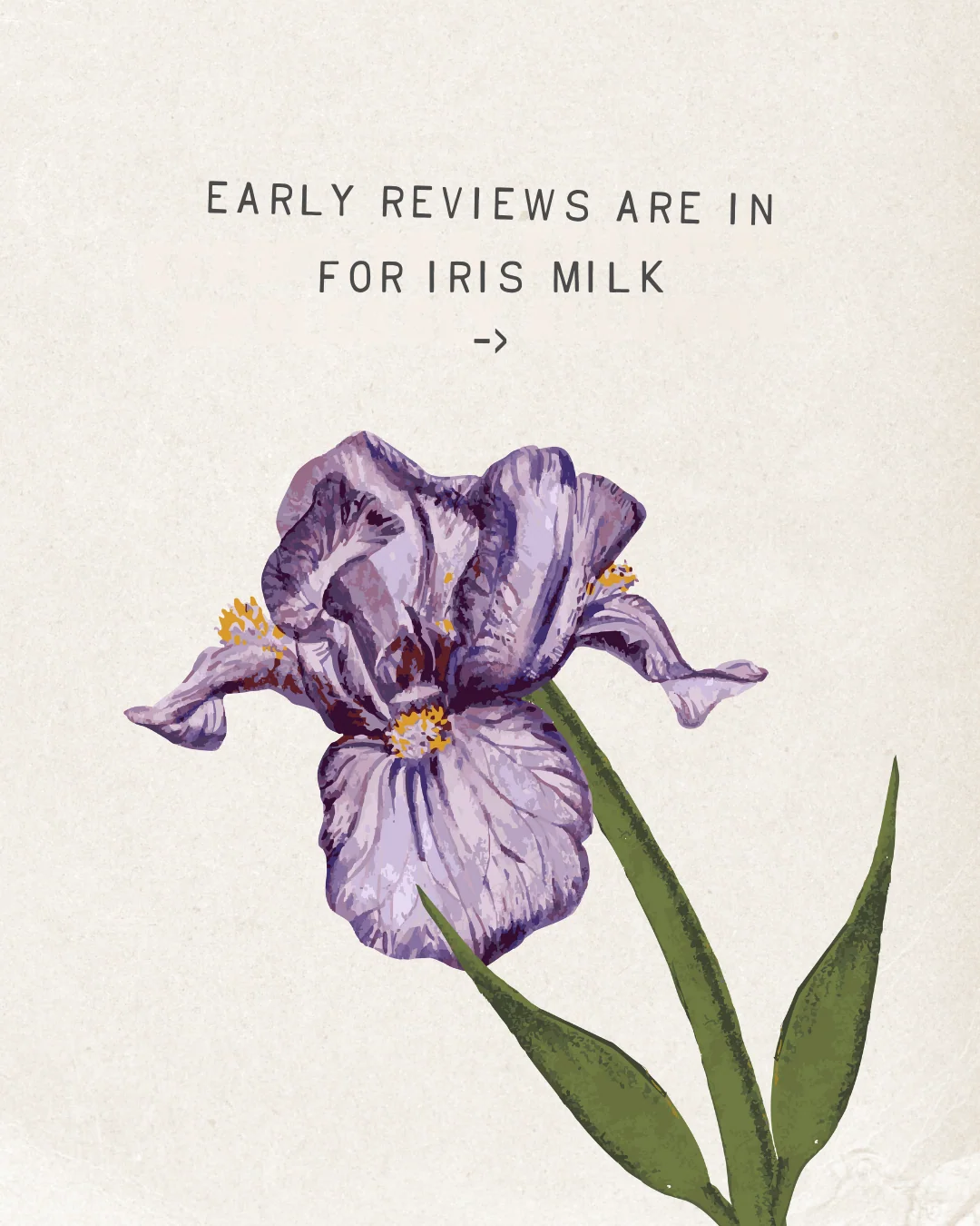 Iris Milk Fragrance - Image 14