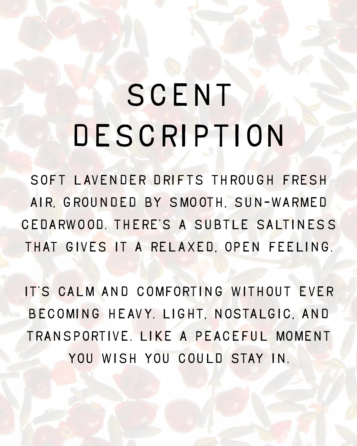 Lavender & Cedar Fragrance - Image 4